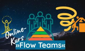 Online- Kurs »Flow Teams« - Coaching - Beratung - Psychologie - Unternehmen - Teamentwicklung