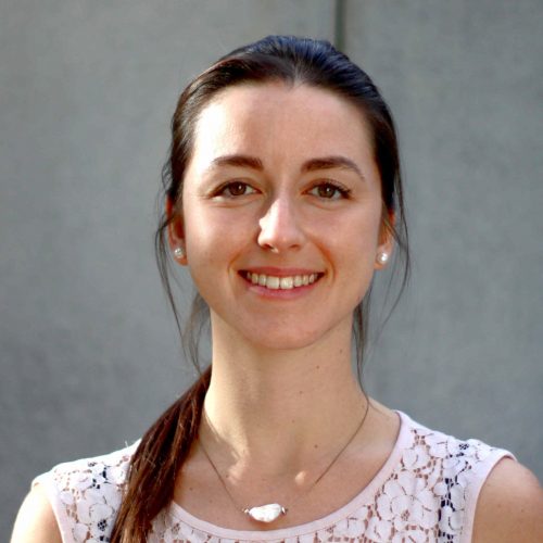 profil-front-min systemisches Coaching online-kurs Systemischer Coach Ausbildung Zertifizierung