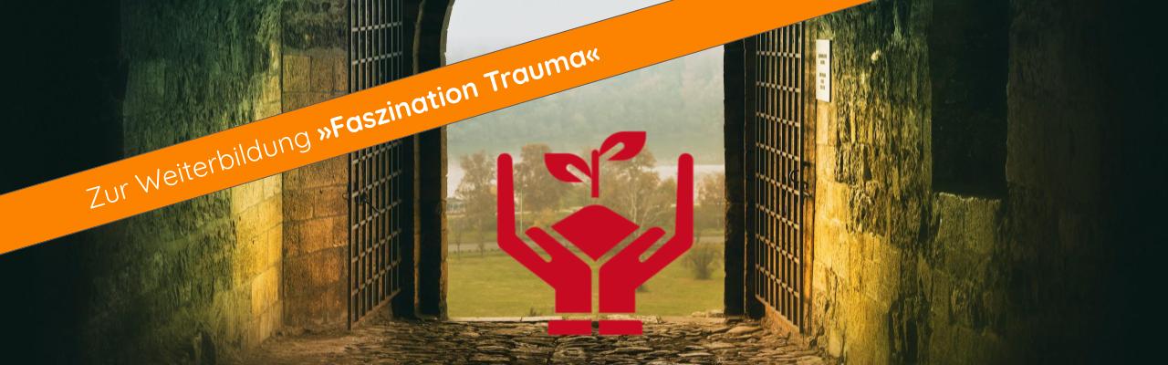 Weiterbildung »Faszination Trauma« Traumatherapie Traumapädagogik
