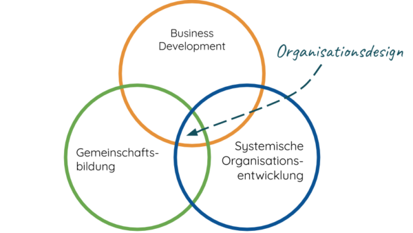 Organisationsdesign [inkl. Anleitung] - Karl Hosang