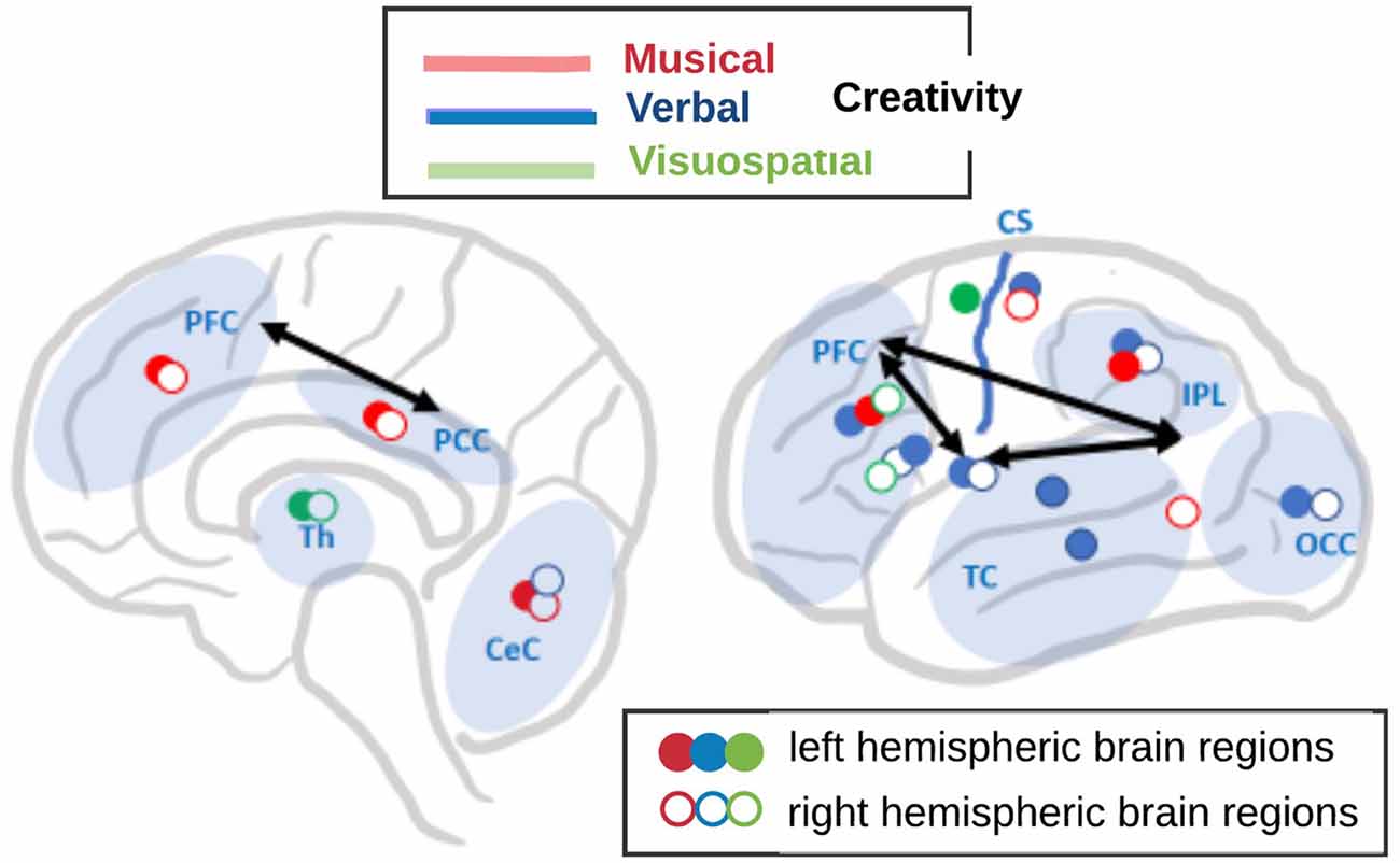 kreativität im gehirn-neurowissenschaft-netzwerke, neurobiologie