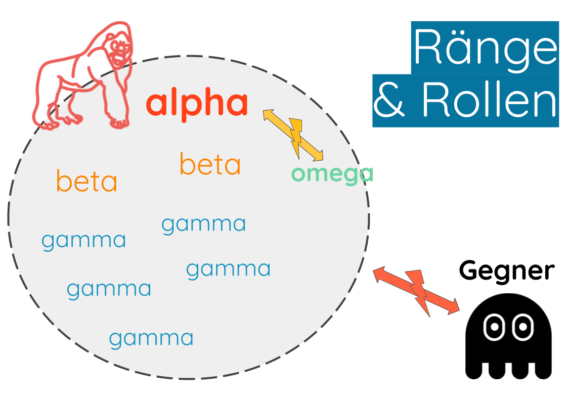 Rang-Rollen-Gruppendynamik-Teamentwicklung-alpha-beta-omega (1)