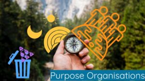 Purpose Organisations - Change Management - Teal - Organisationstransformation