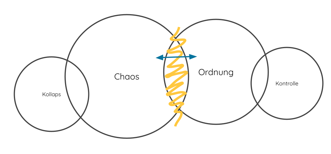 Chaordic - komplexe Systeme Ordnung Chaos