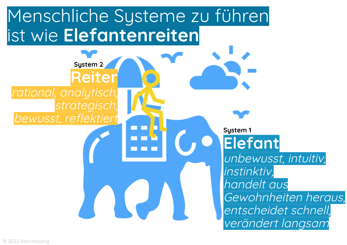 schnelles Denken, langsames Danken - System 1 System 2, Danie Kahnemann, Elefant Reiter